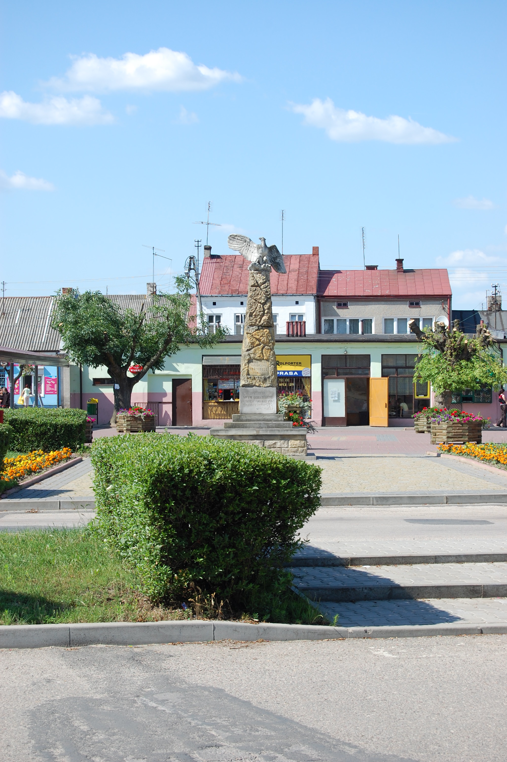 Trasy na rower trekkingowy - Nowe Miasto nad Pilicą