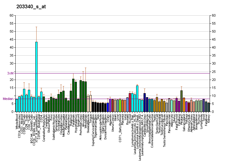 File:PBB GE SLC25A12 203340 s at fs.png