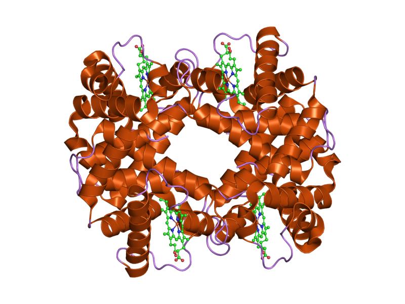 File:PDB 1fdh EBI.jpg