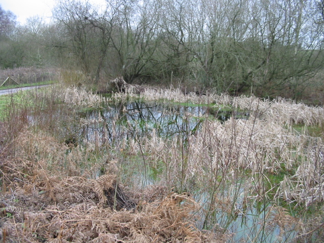 Gibbin's Brook