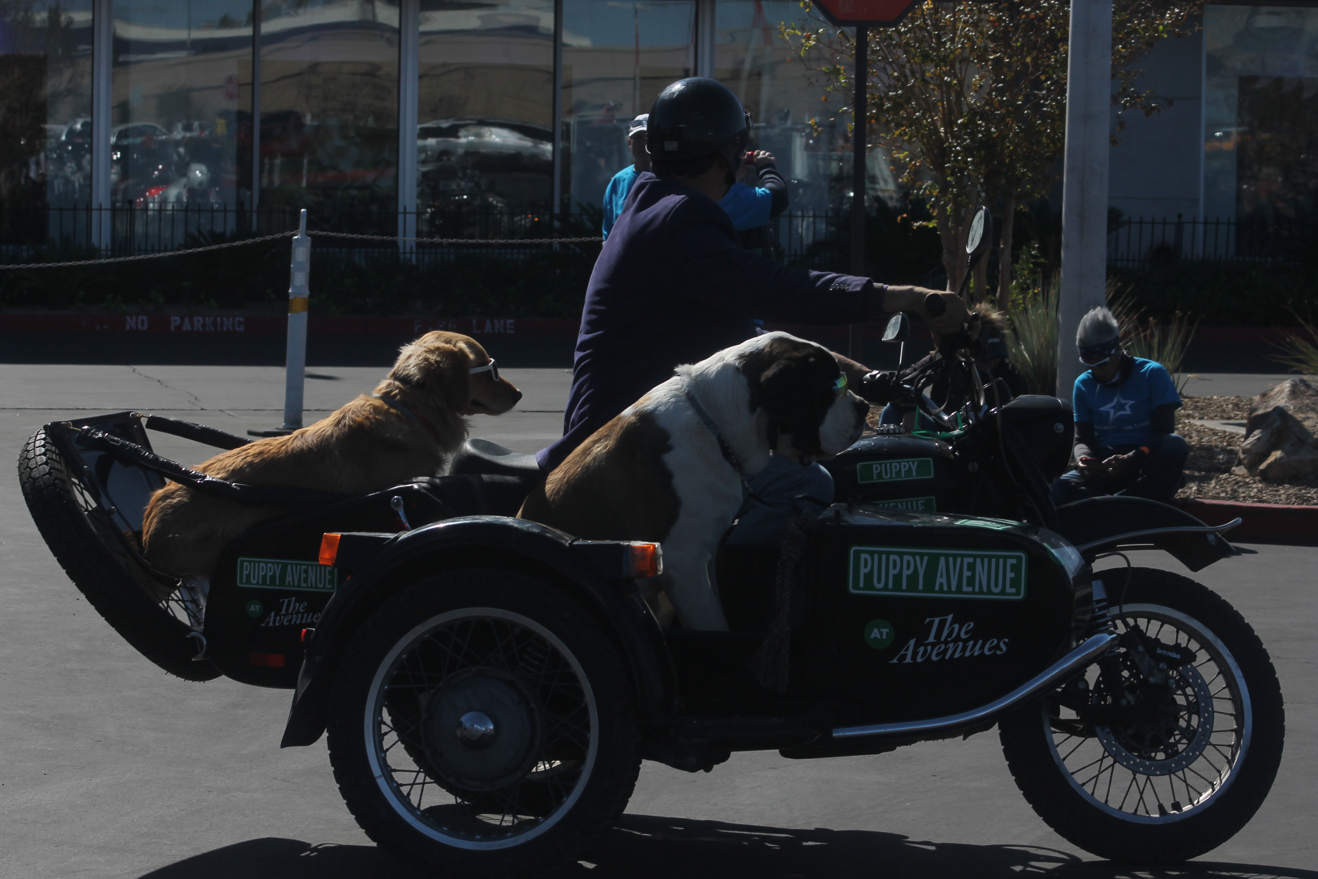 Cuál es la motocicleta más cara del mundo