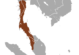 File:Robinson's Banded Surili area.png