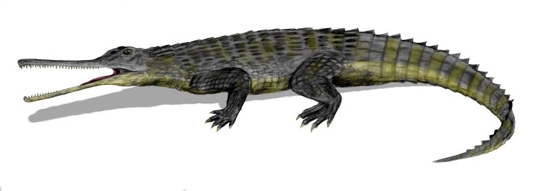 File:Rutiodon BW.jpg