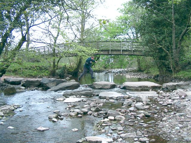 Stepping stones and bridge across Tawe - geograph.org.uk - 421971