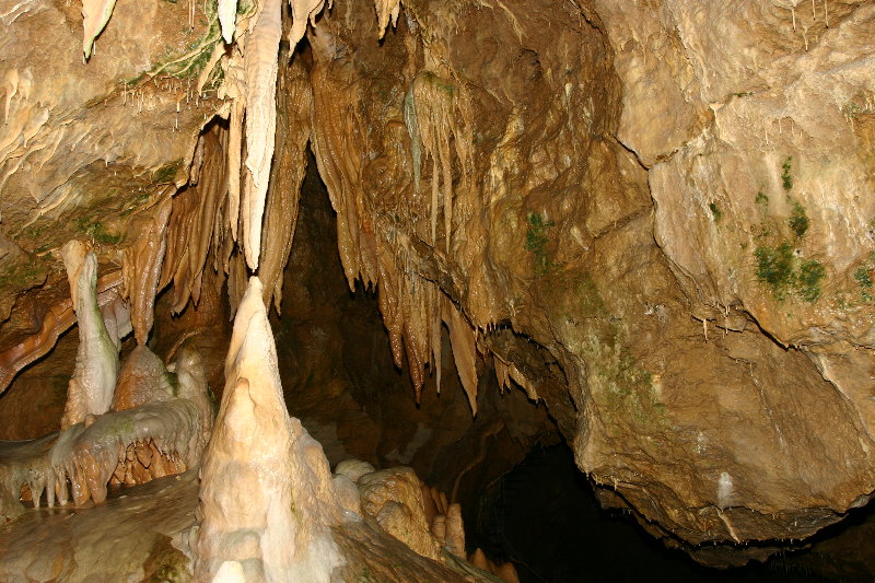 File:Teufelshöhle,Barbarossabart.jpg