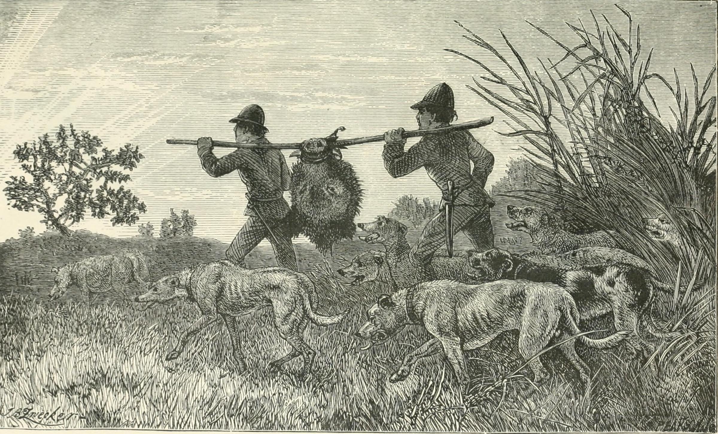 File:Rod and gun (1898) (14586707158).jpg - Wikimedia Commons