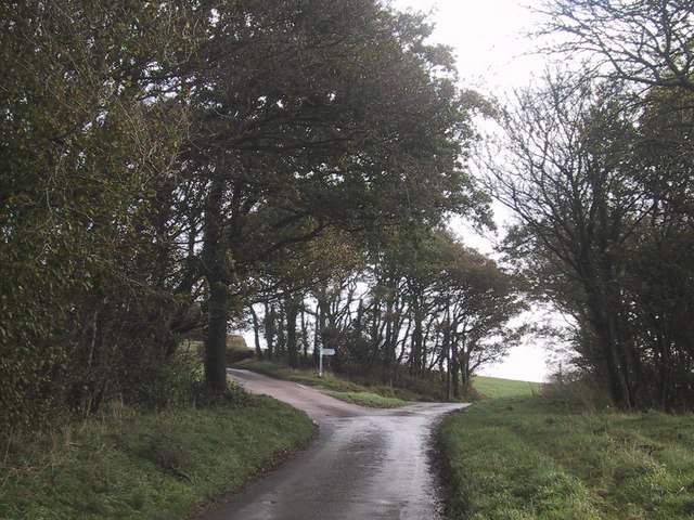 File:Waddies Down Cross - geograph.org.uk - 1567921.jpg