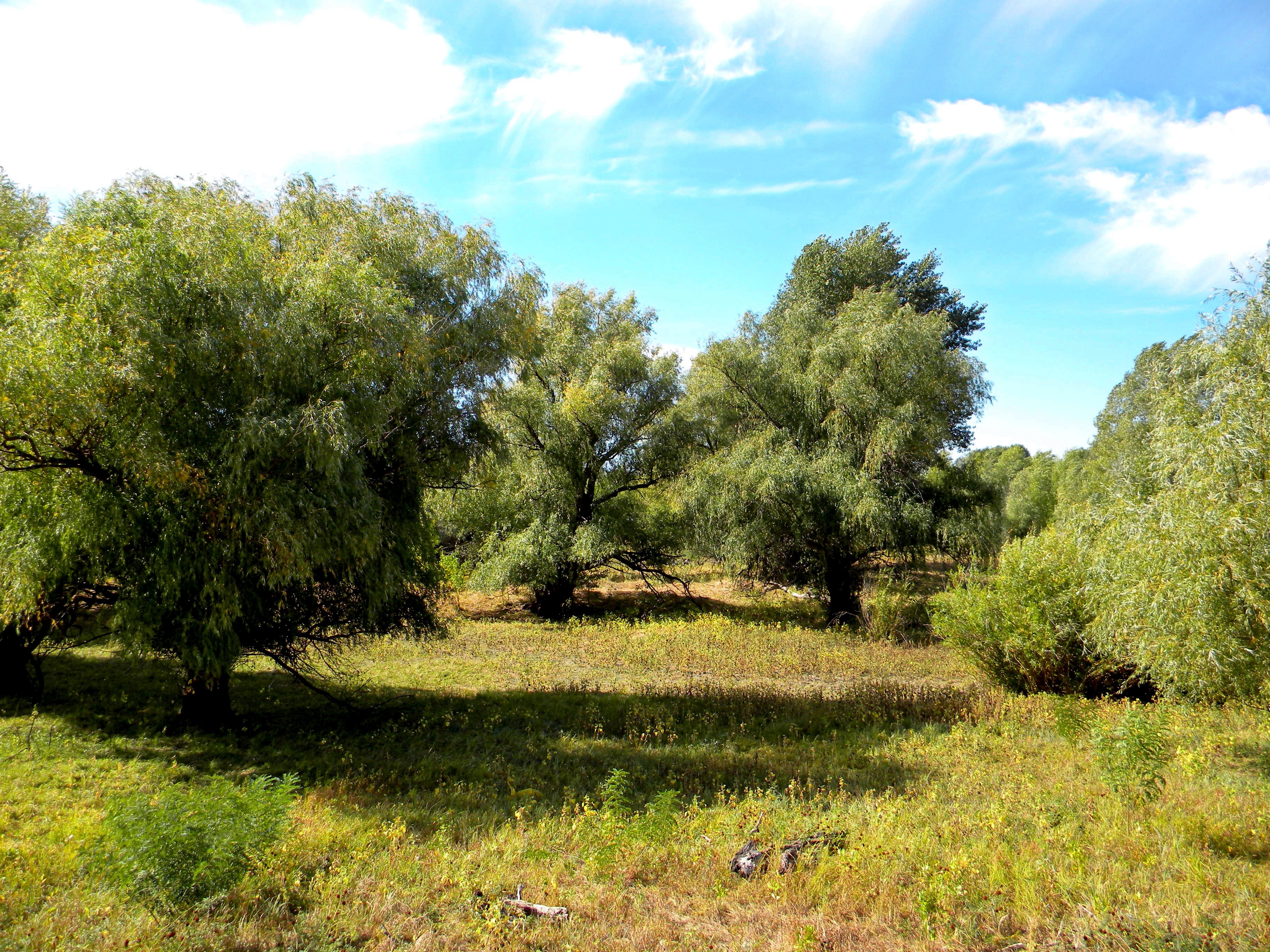 Астраханская область харабали фото