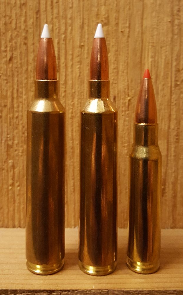 File:26 and 28 Nosler.jpg - Wikimedia Commons