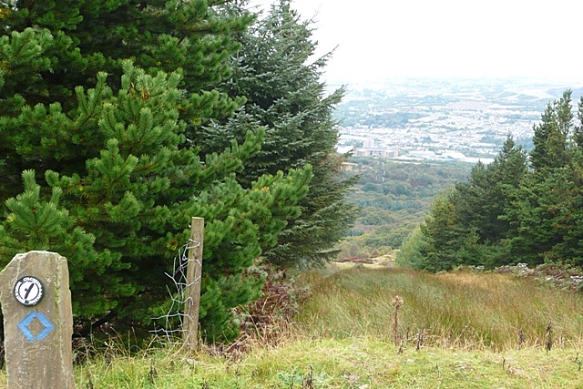 Above Merthyr tunnel - geograph.org.uk - 994826