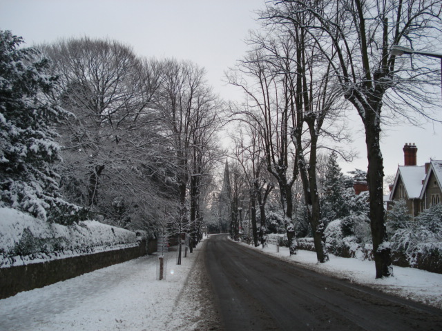 File:Avenue Road in the snow - geograph.org.uk - 455342.jpg