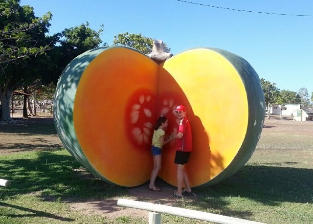 File:Big Pumpkin1.jpg