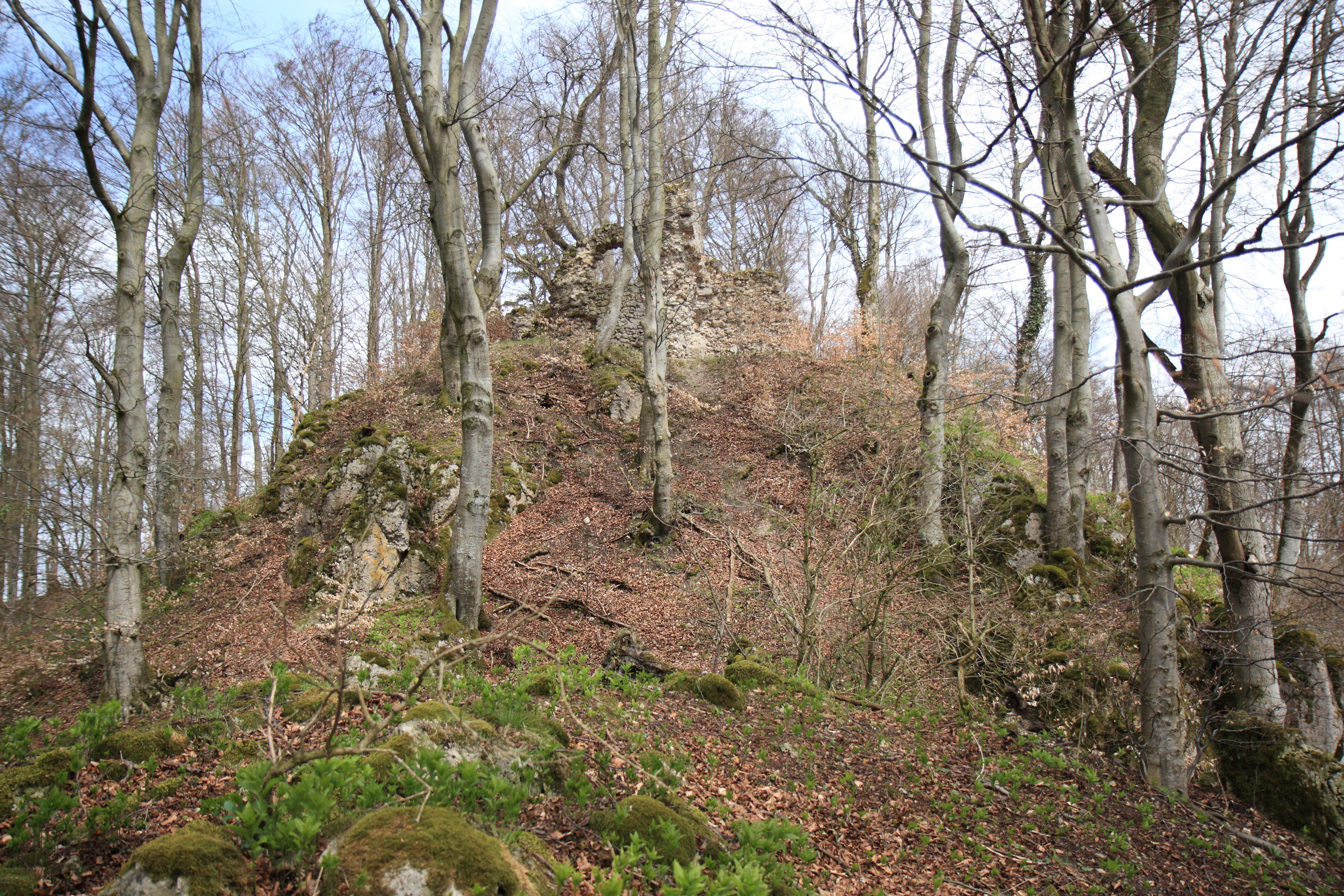 Ansicht der südwestlichen Seite der Oberburg