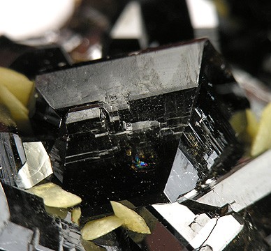 File:Cassiterite-Siderite-240632.jpg