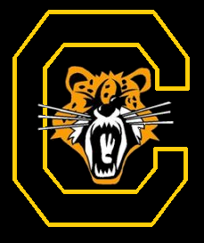 Chiltern Cheetahs logo used until 2008