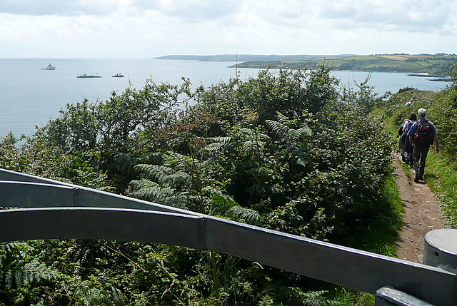 Coast path at Newporth Head - geograph.org.uk - 2568709