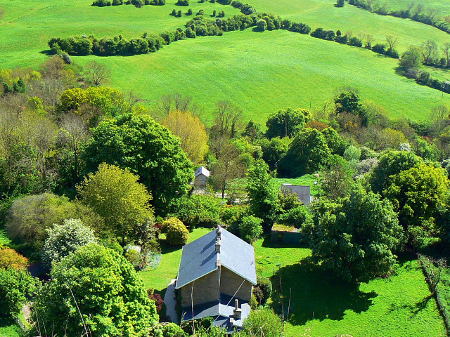 File:Crickley Hill Country Park (9) - geograph.org.uk - 1299474.jpg