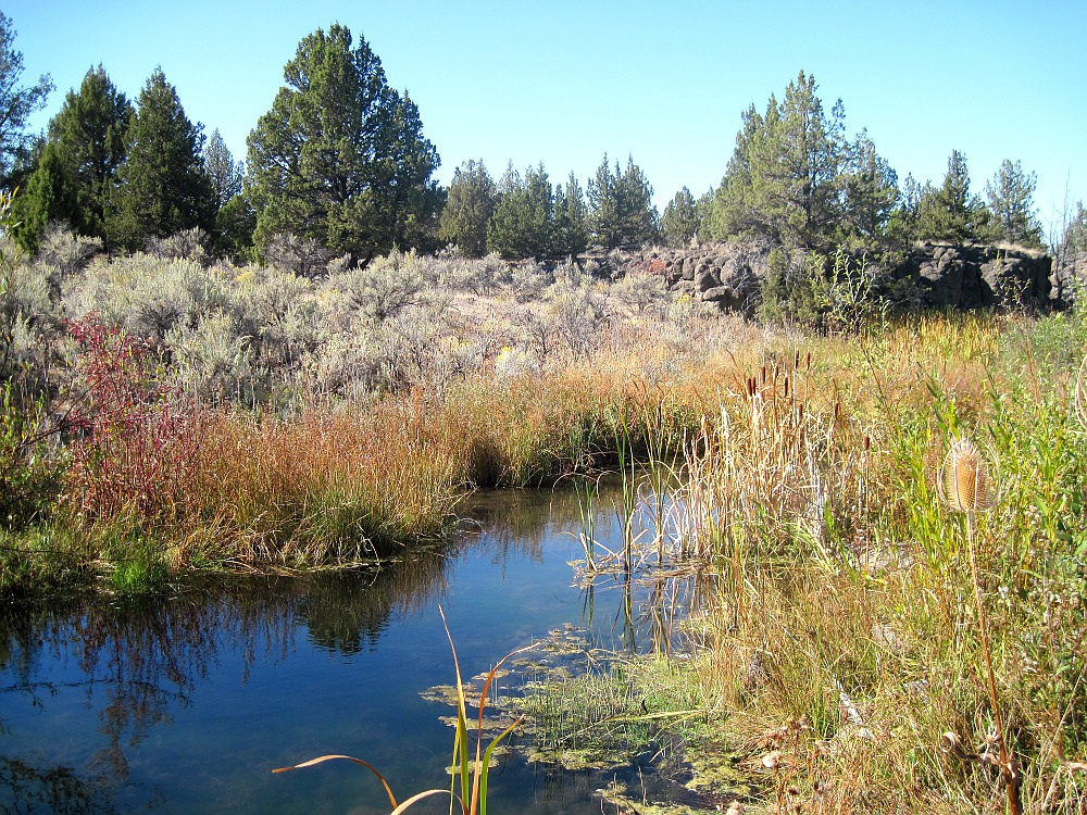 Photo of Crooked River National Grassland