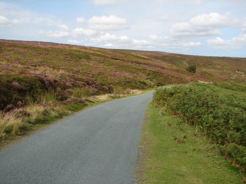 File:Danby Rigg road - geograph.org.uk - 2310540.jpg