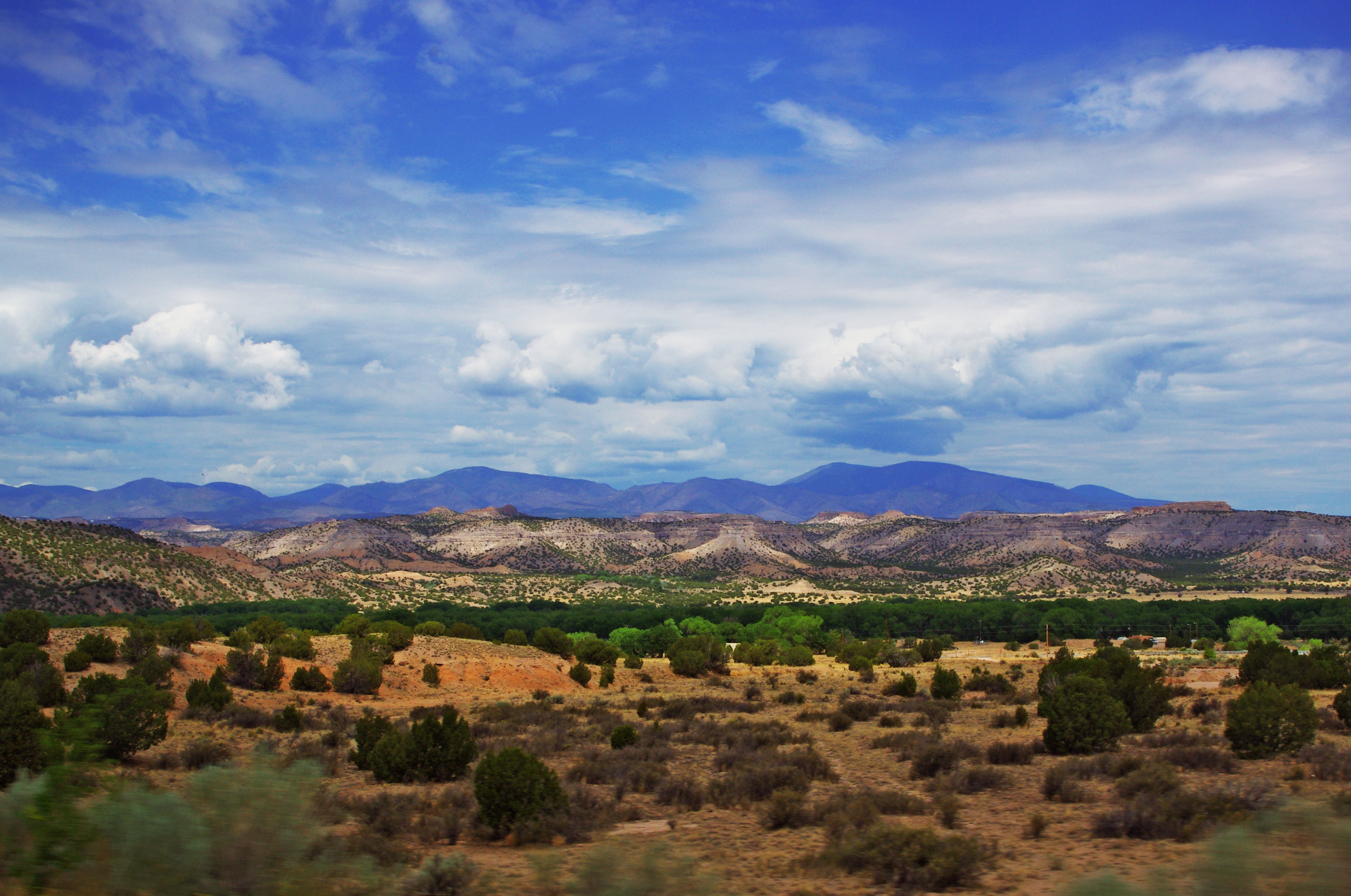 mexico desert landscape