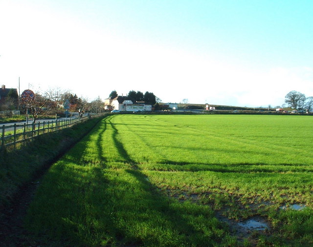 File:Farmland near Shotatton - geograph.org.uk - 313223.jpg