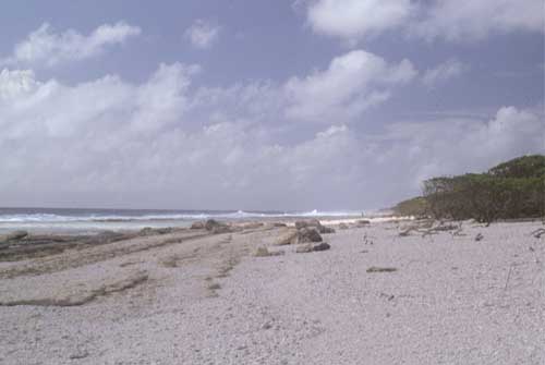 File:Flint Island AKK Beach.jpg