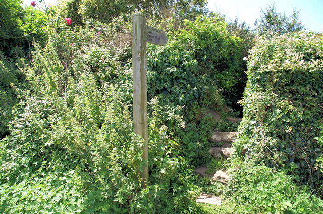 File:Footpath to Zennor - geograph.org.uk - 899590.jpg