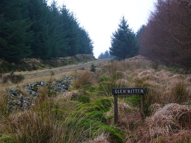 File:Forestry road, Glenkitten Fell - geograph.org.uk - 682986.jpg