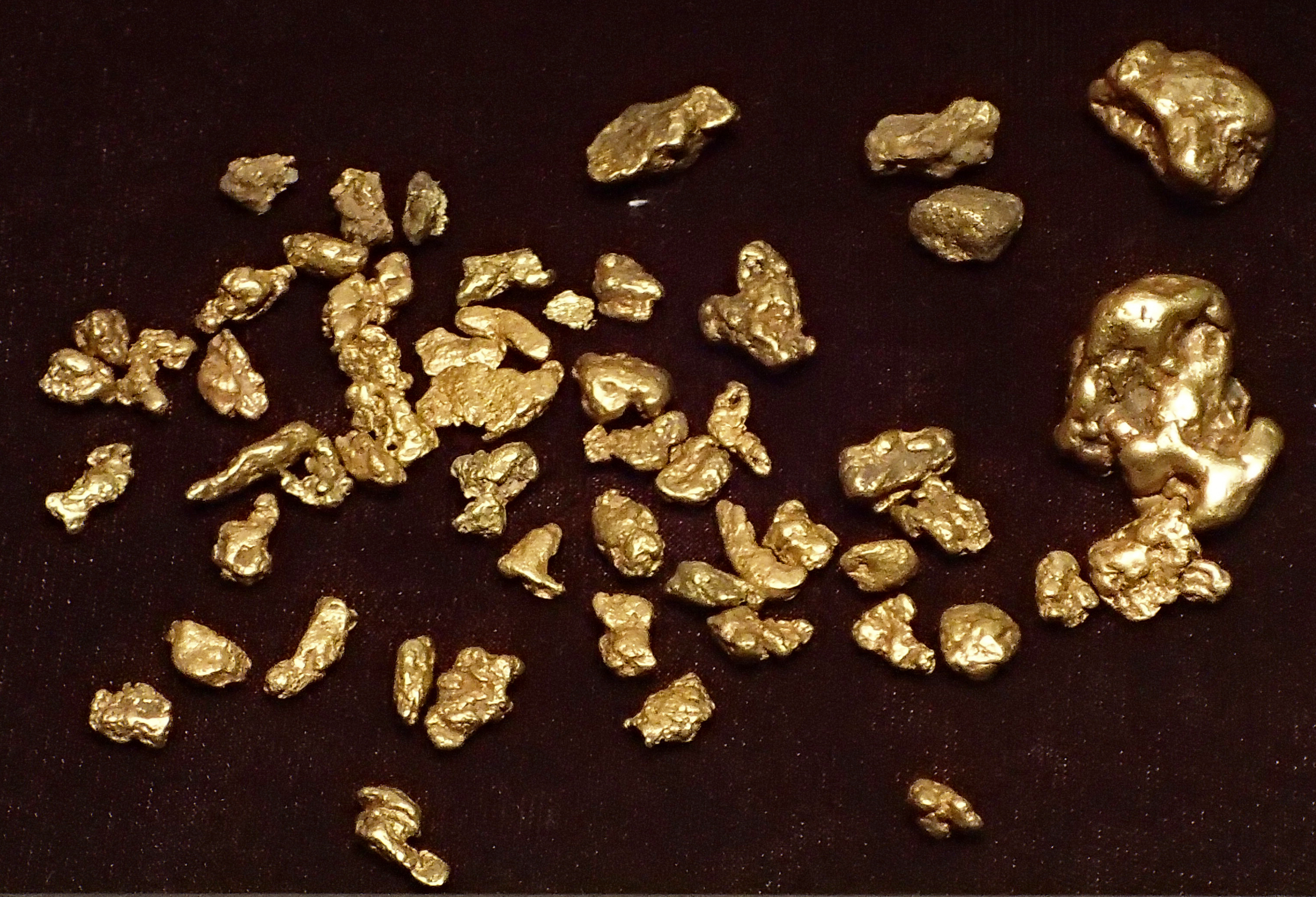 File:Gold nuggets (placer gold) (Cache Creek, near Granite, Chaffee County,  Colorado, USA) 3 (16884639690).jpg - Wikimedia Commons