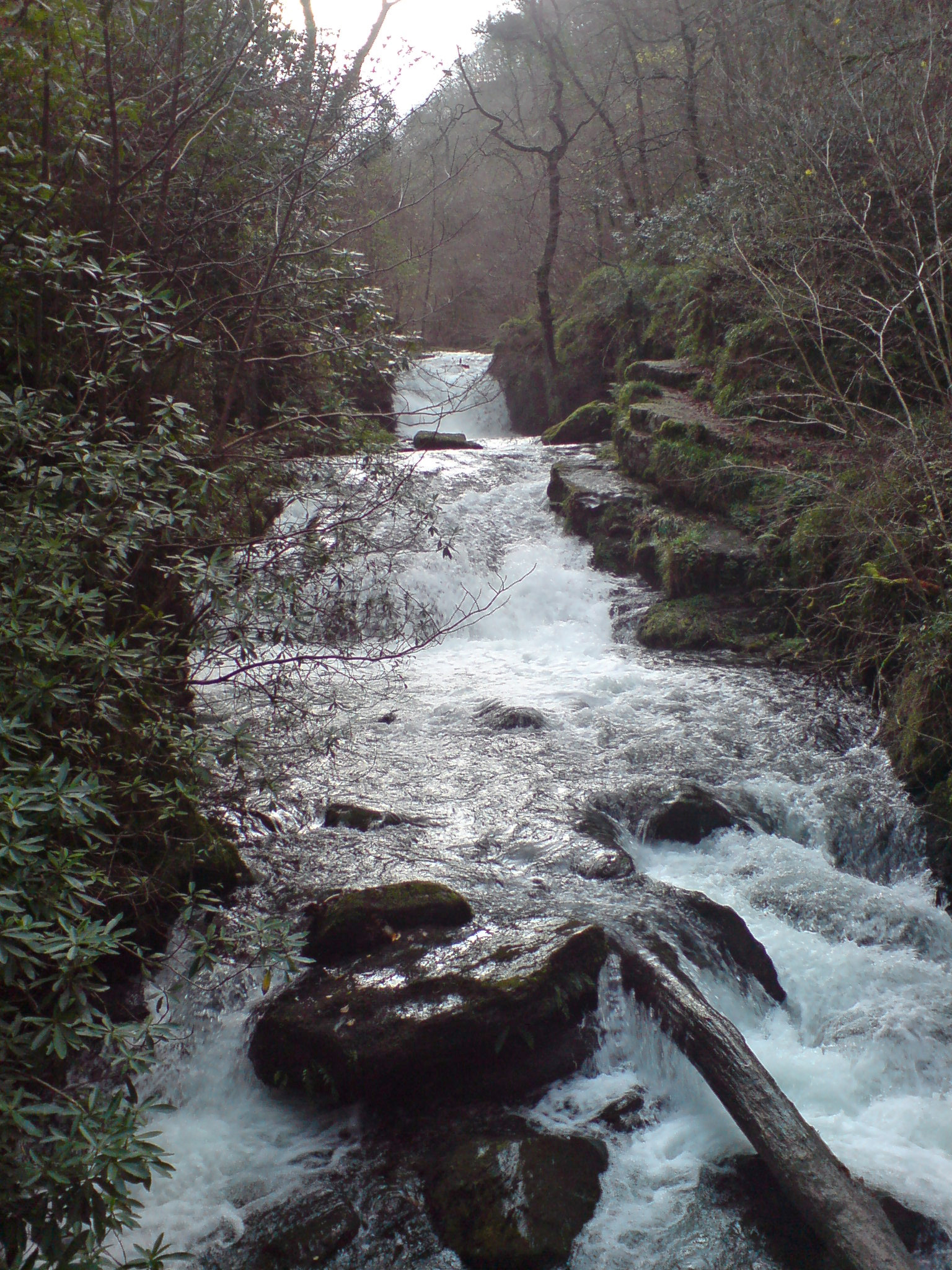 Hoar Oak Water