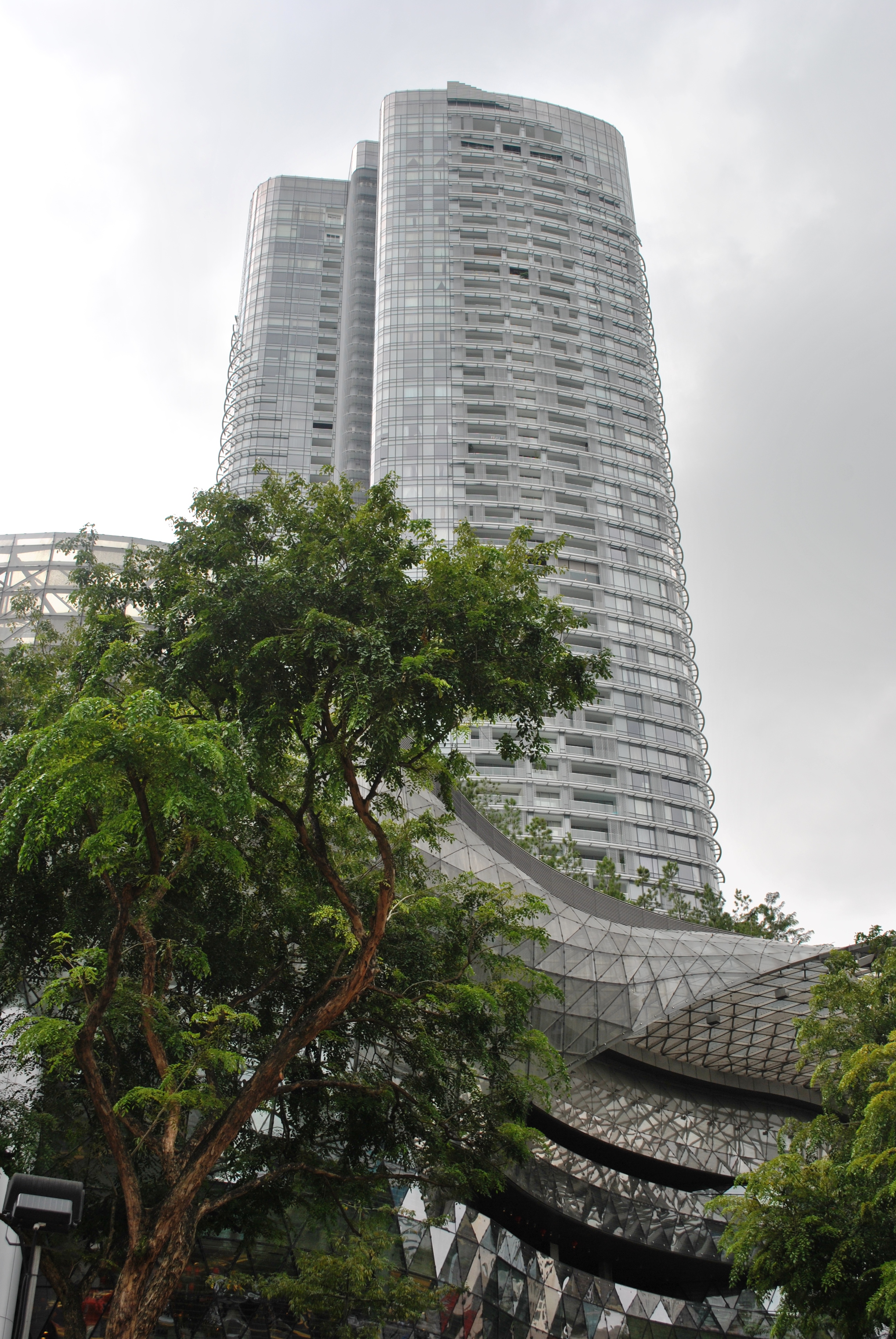 Ion Orchard Wikipedia