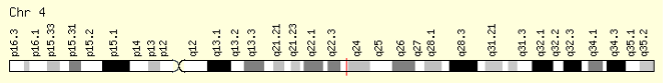 File:Location of C4orf54 on human chromosome 4.png