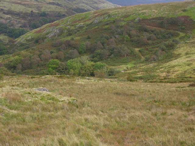 File:Lower slopes - geograph.org.uk - 568309.jpg