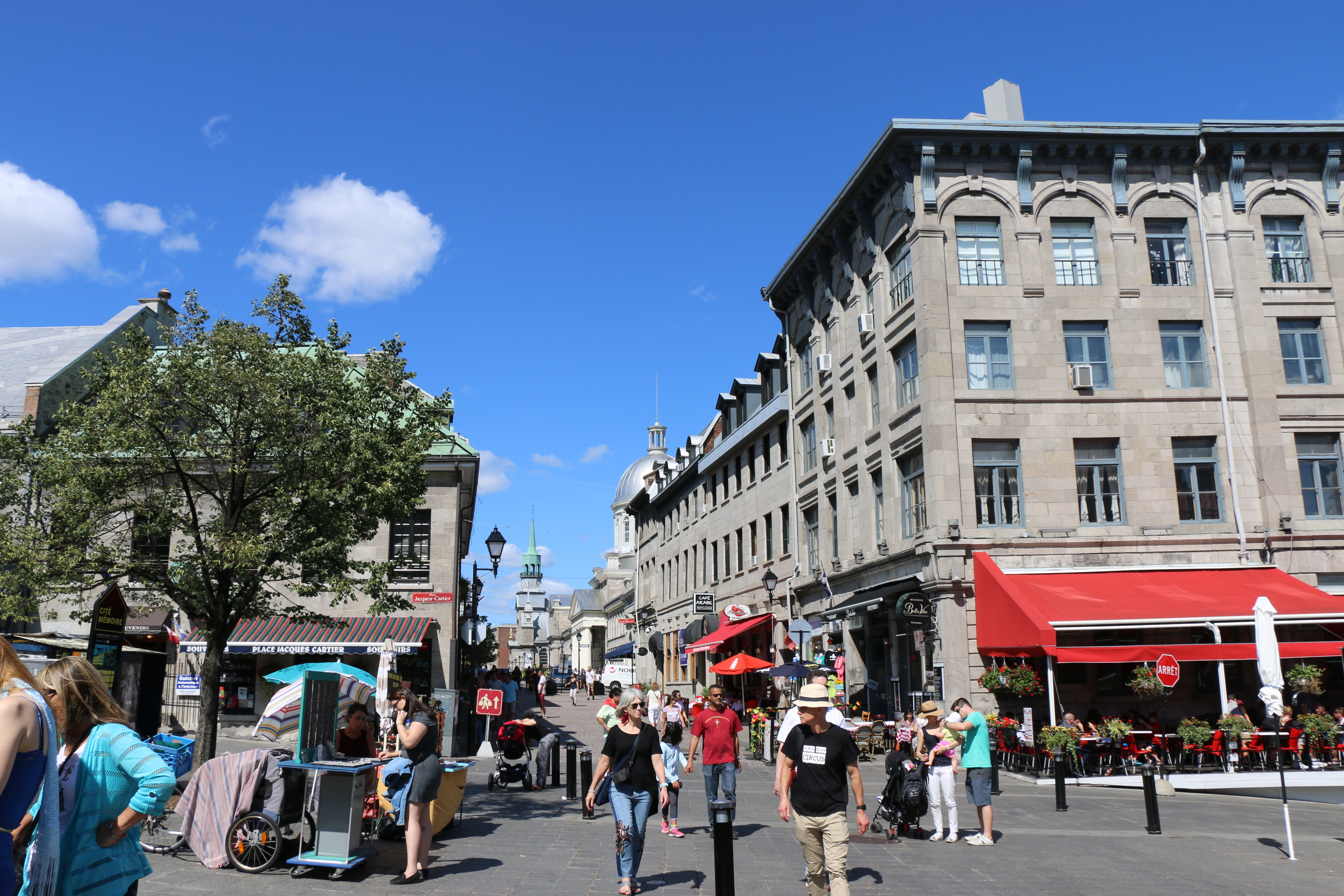 2 rue jacques cartier paris