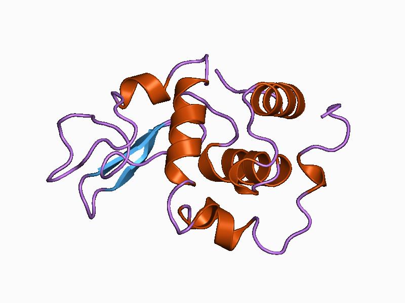 File:PDB 1cj8 EBI.jpg