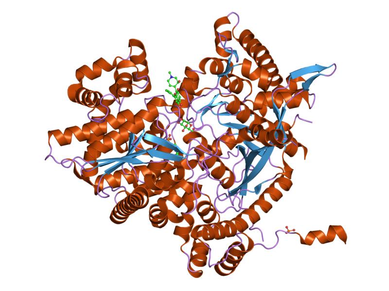 File:PDB 1e1y EBI.jpg