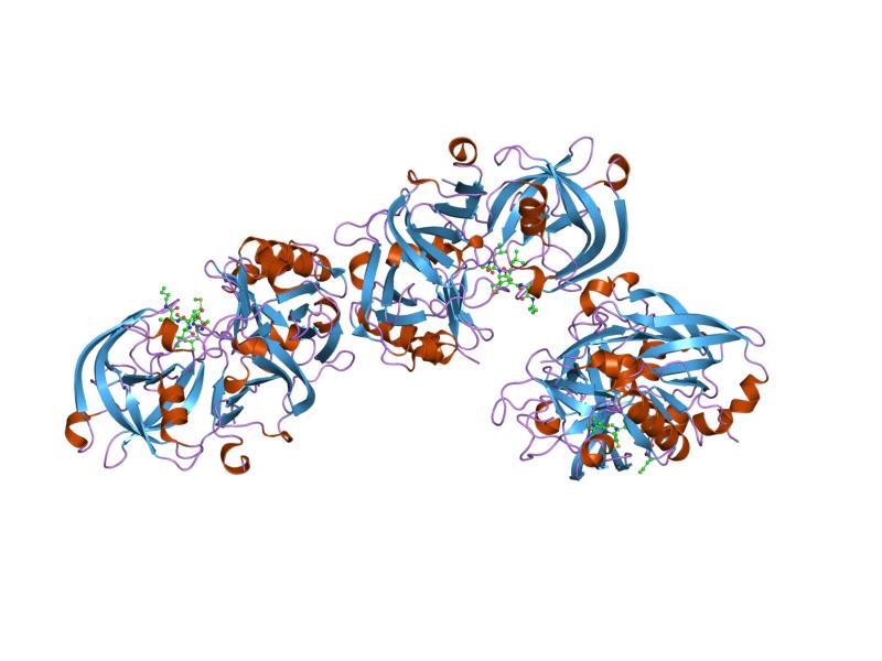 File:PDB 1ym2 EBI.jpg