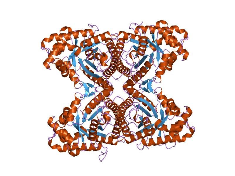 File:PDB 2ot0 EBI.jpg