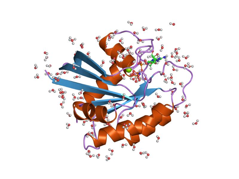 File:PDB 821p EBI.jpg