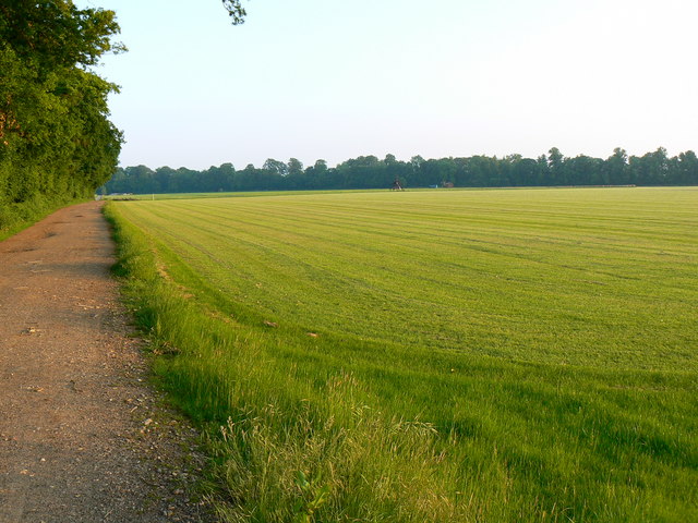 File:Polo ground, near Lower End, Gloucestershire - geograph.org.uk - 457872.jpg