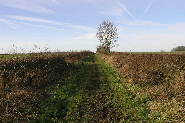 File:Public Footpath - geograph.org.uk - 109405.jpg