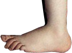 File:Python-Foot.png