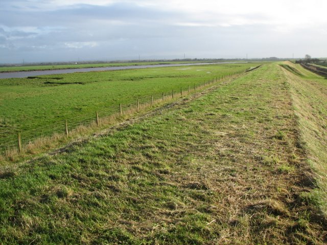 River Douglas and Bank - geograph.org.uk - 1589679