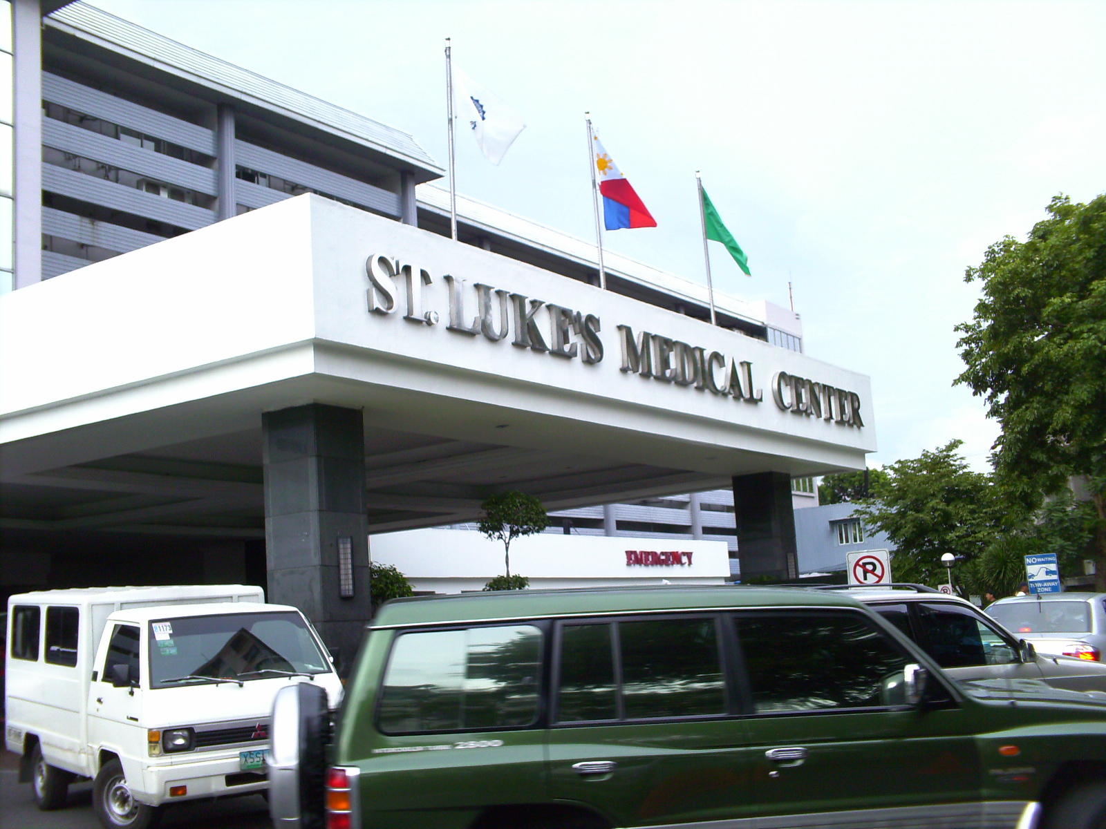 Organizational Chart Of St Luke S Medical Center Quezon City