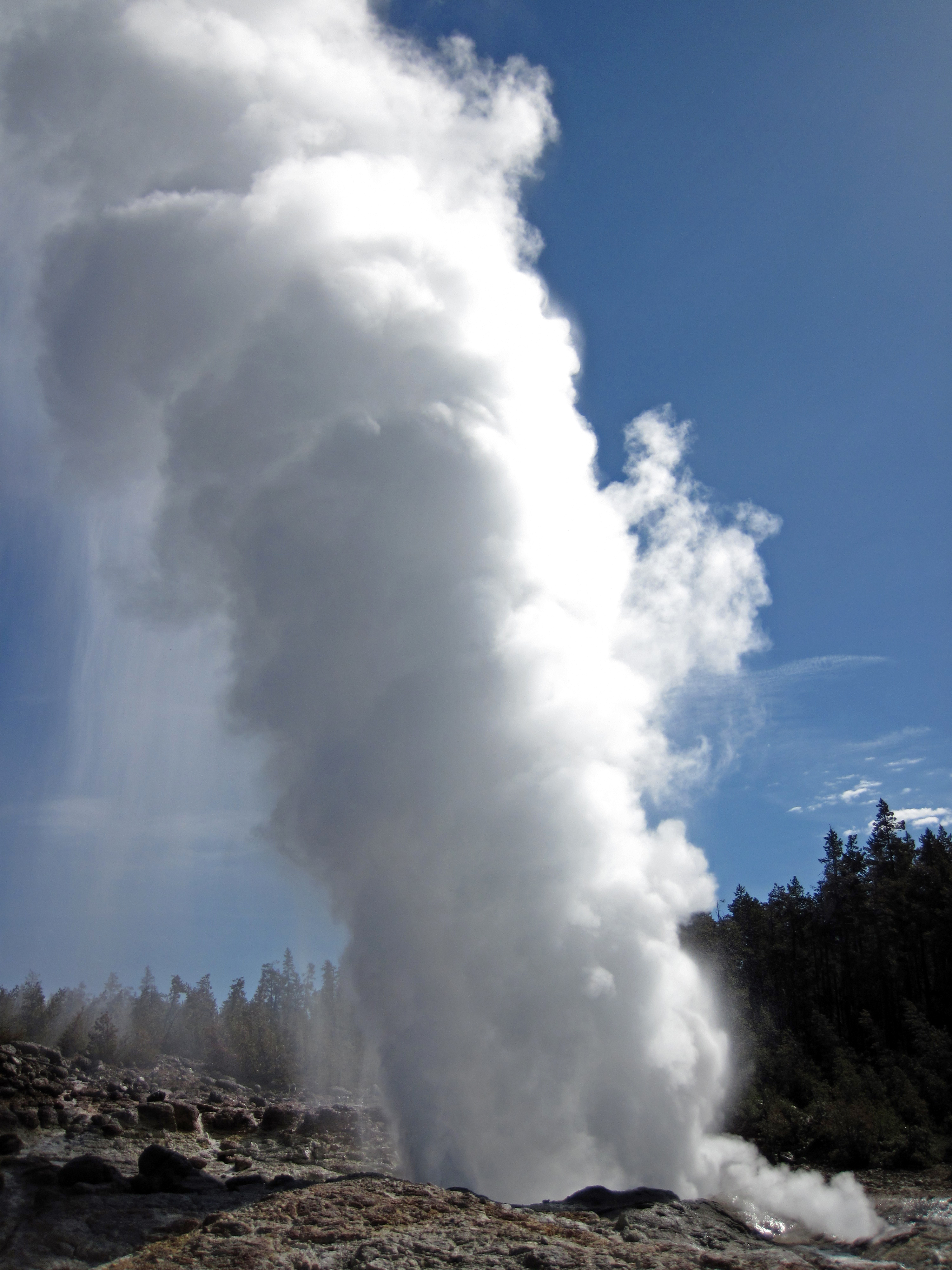 Slt geyser steam hose фото 27