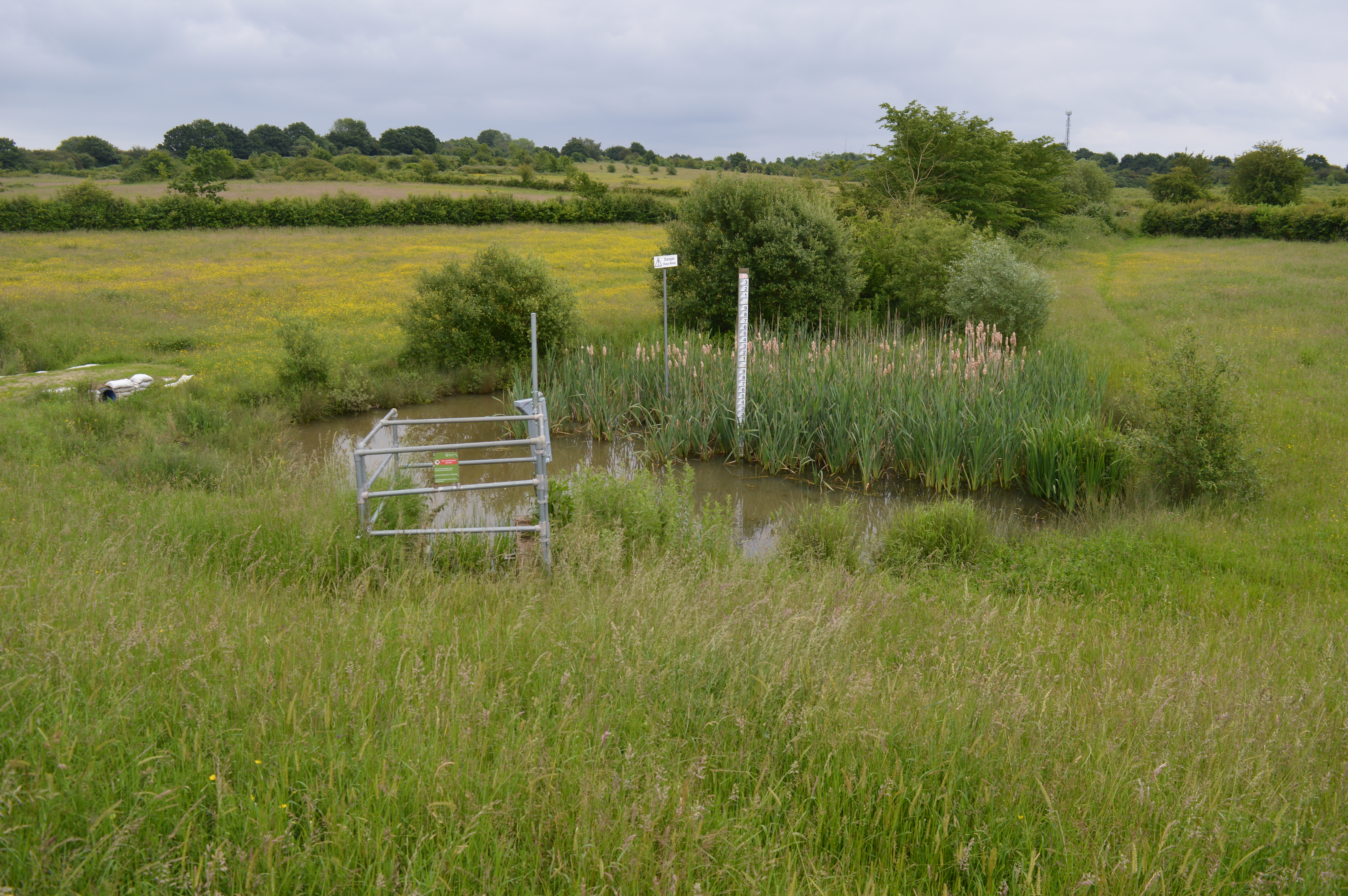 Weald Common Flood Meadows