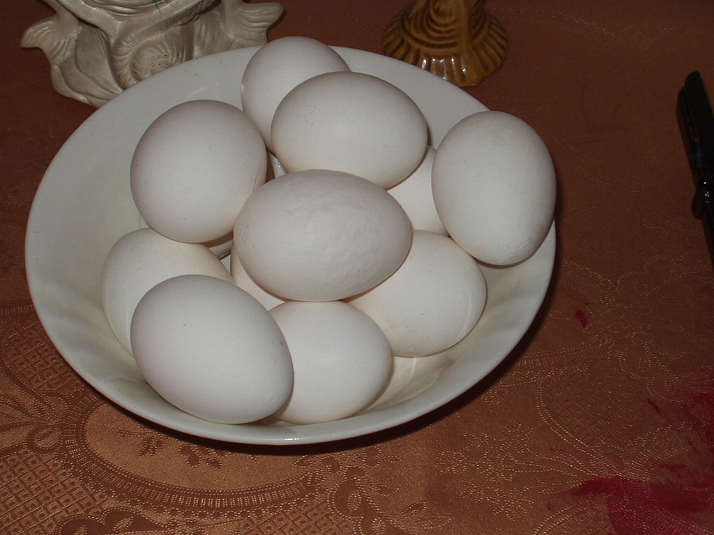 Filewhite Eggs Wikimedia Commons 2155