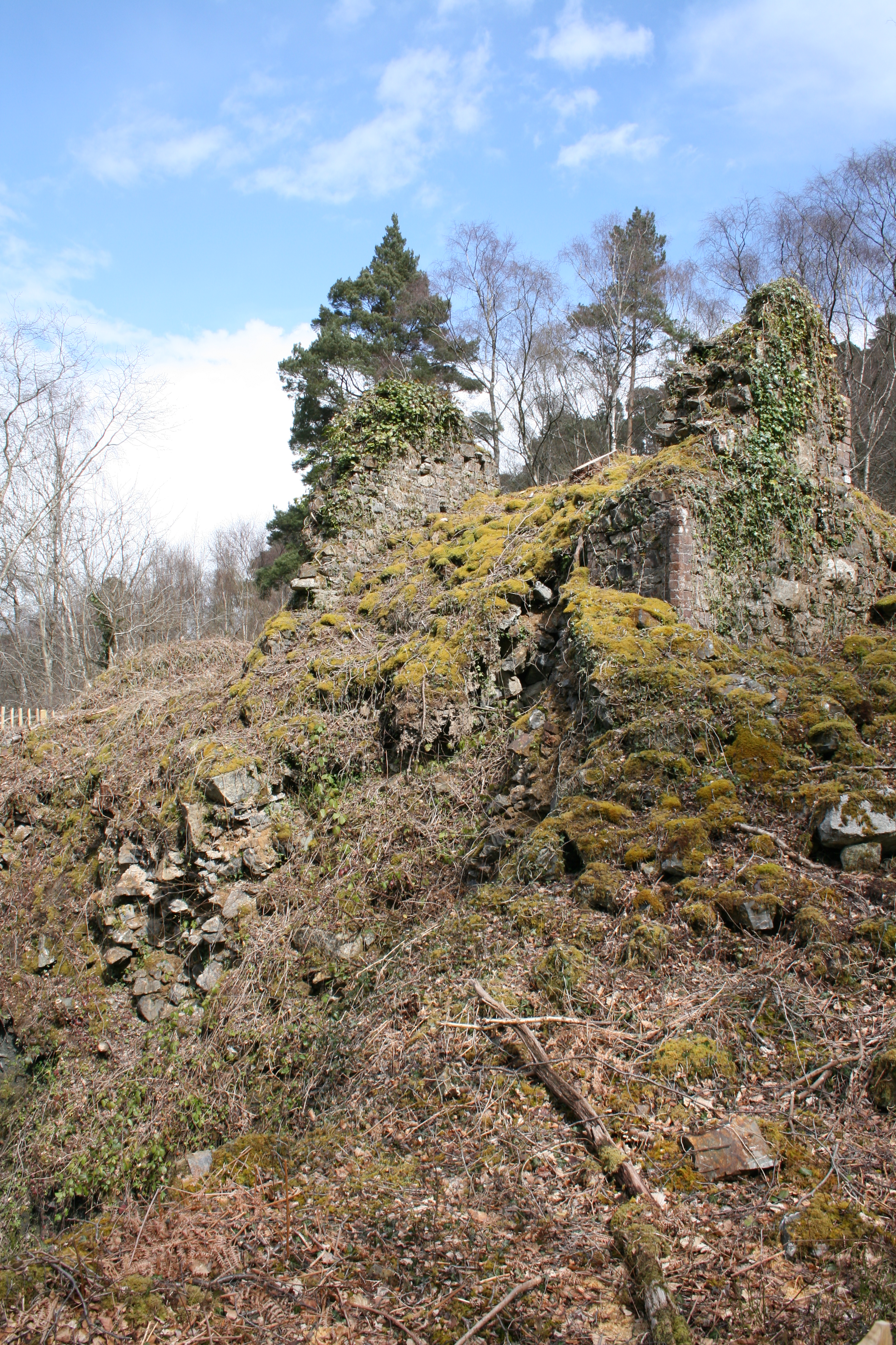 Yarner Wood & Trendlebere Down