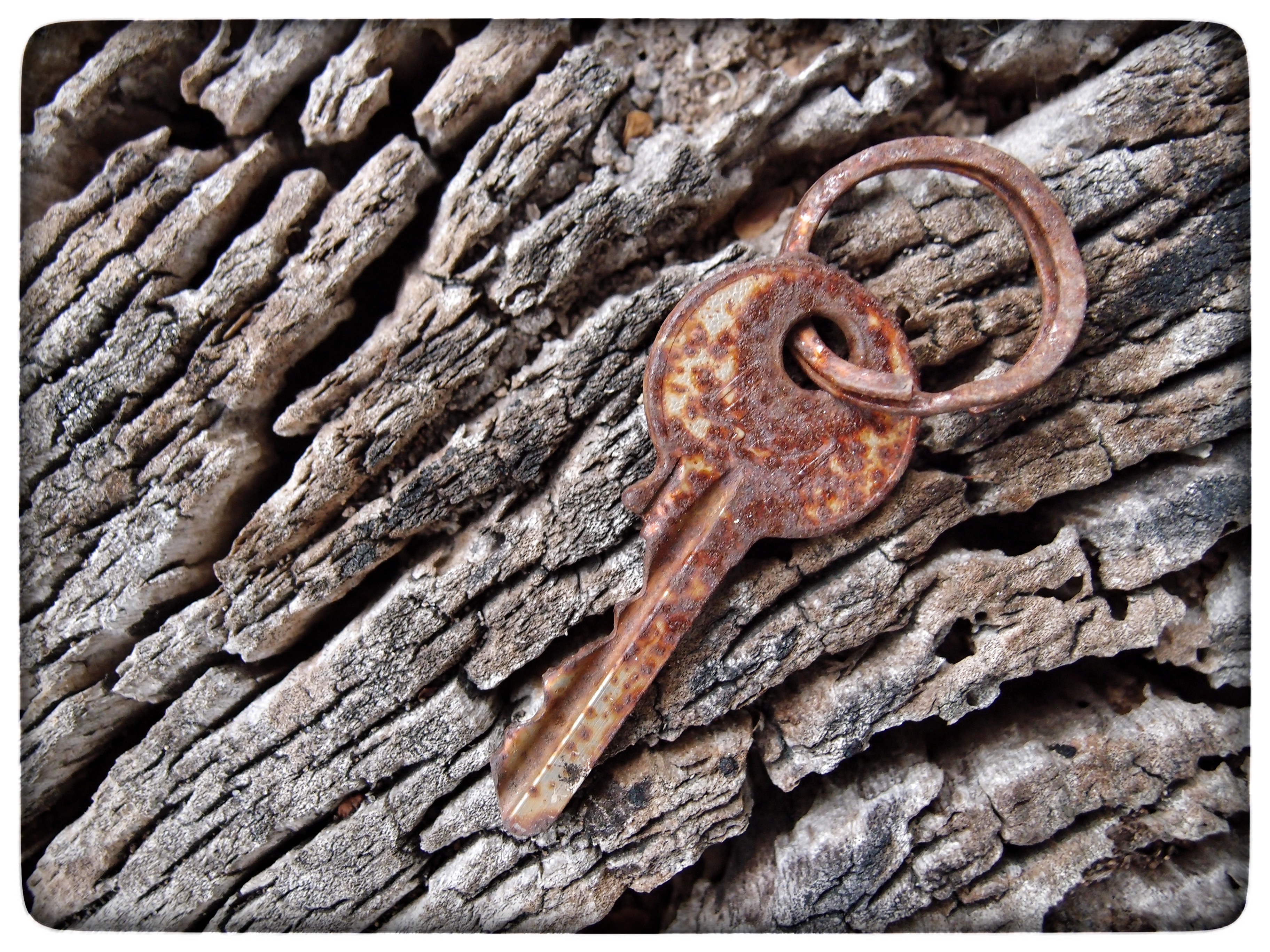 Key a key rust фото 94