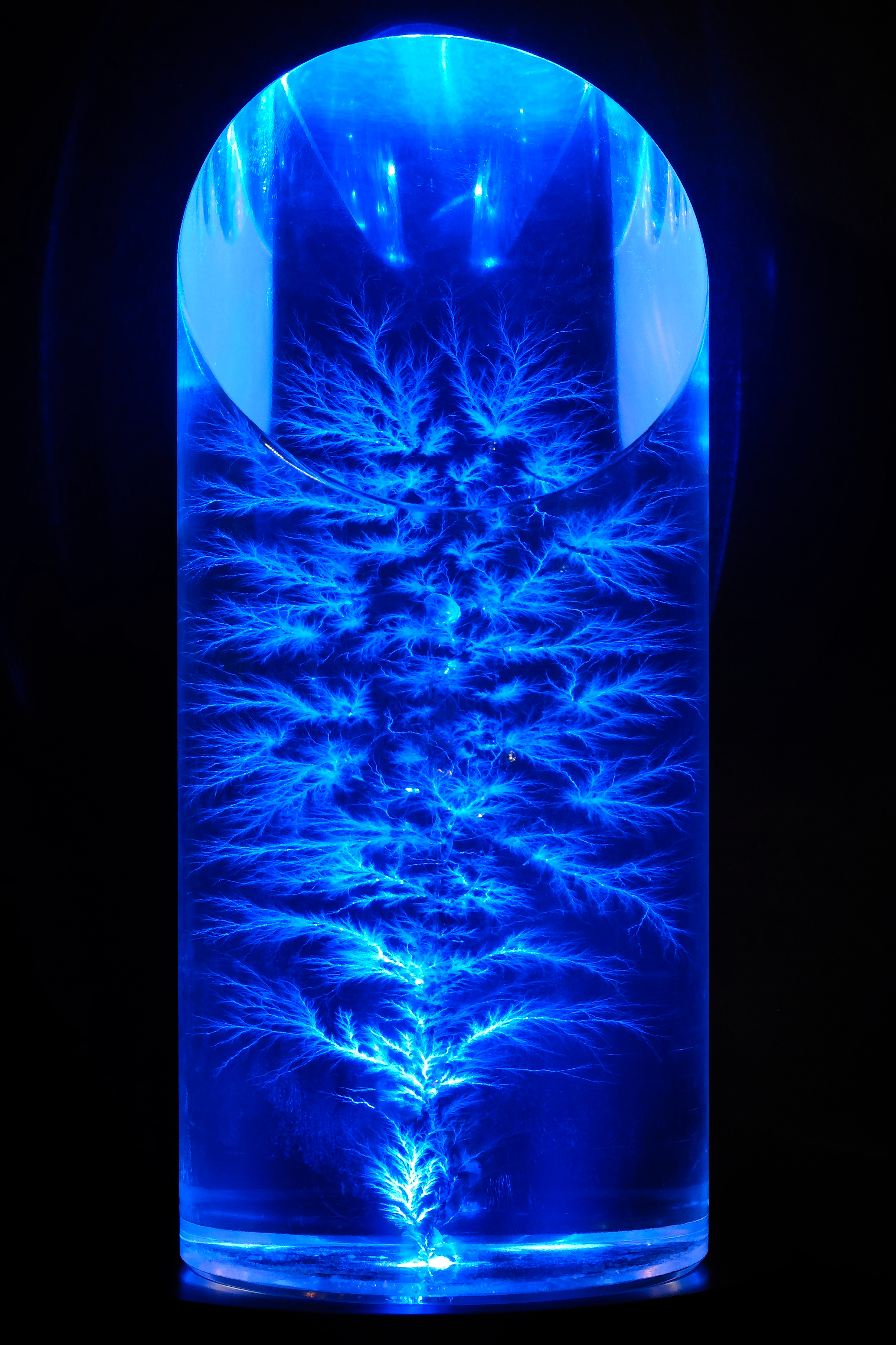 Lichtenberg figure - Wikipedia